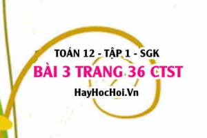 Bài 3 trang 36 Toán 12 tập 1 Chân trời sáng tạo